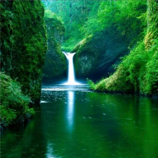 遵化逸哥有一手