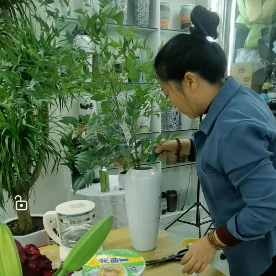 青杉花店