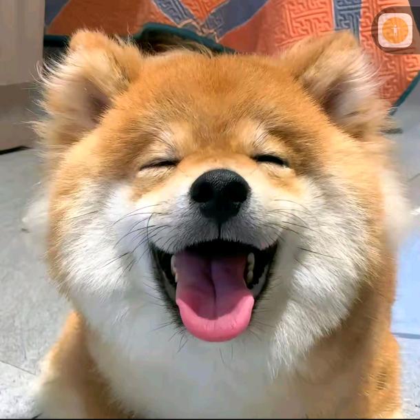 开心脱口秀