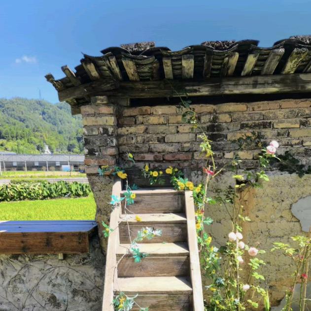 爱美天使ame雅玲