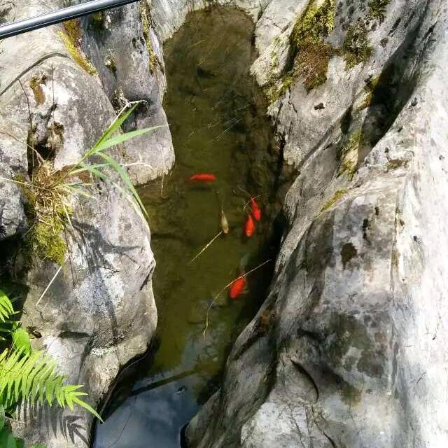 朝阳☀️
