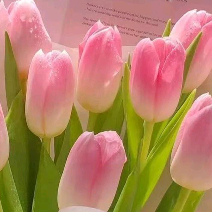 🥀⃟错把᭄敷衍ꦻ当承诺