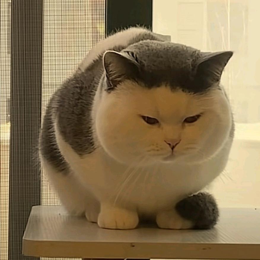 卧听潇雨