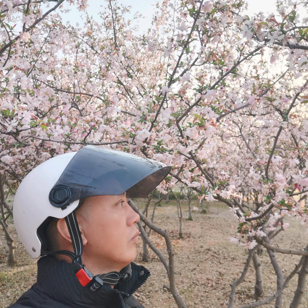 小牛直播