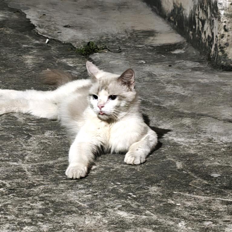 提尔影音柏瑞美