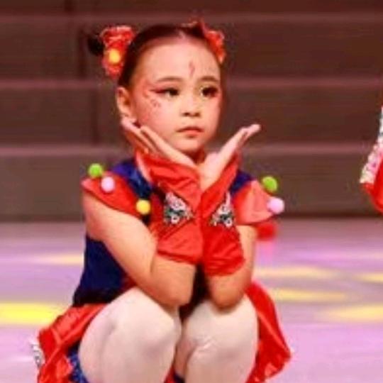 宏发(宏图烟花)集团