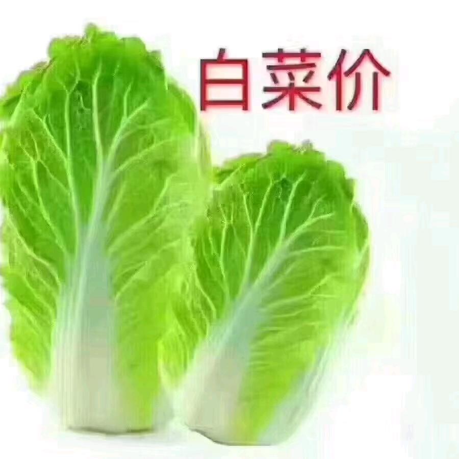 中间商