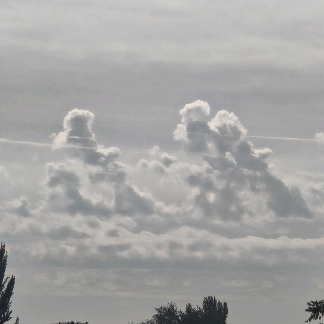 ㄣ獨宠ぎ壹人ღ҉҉҉҉҉҉҉҉҉