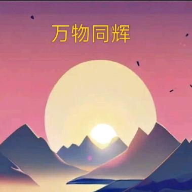 万物同辉会呼吸的橱窗