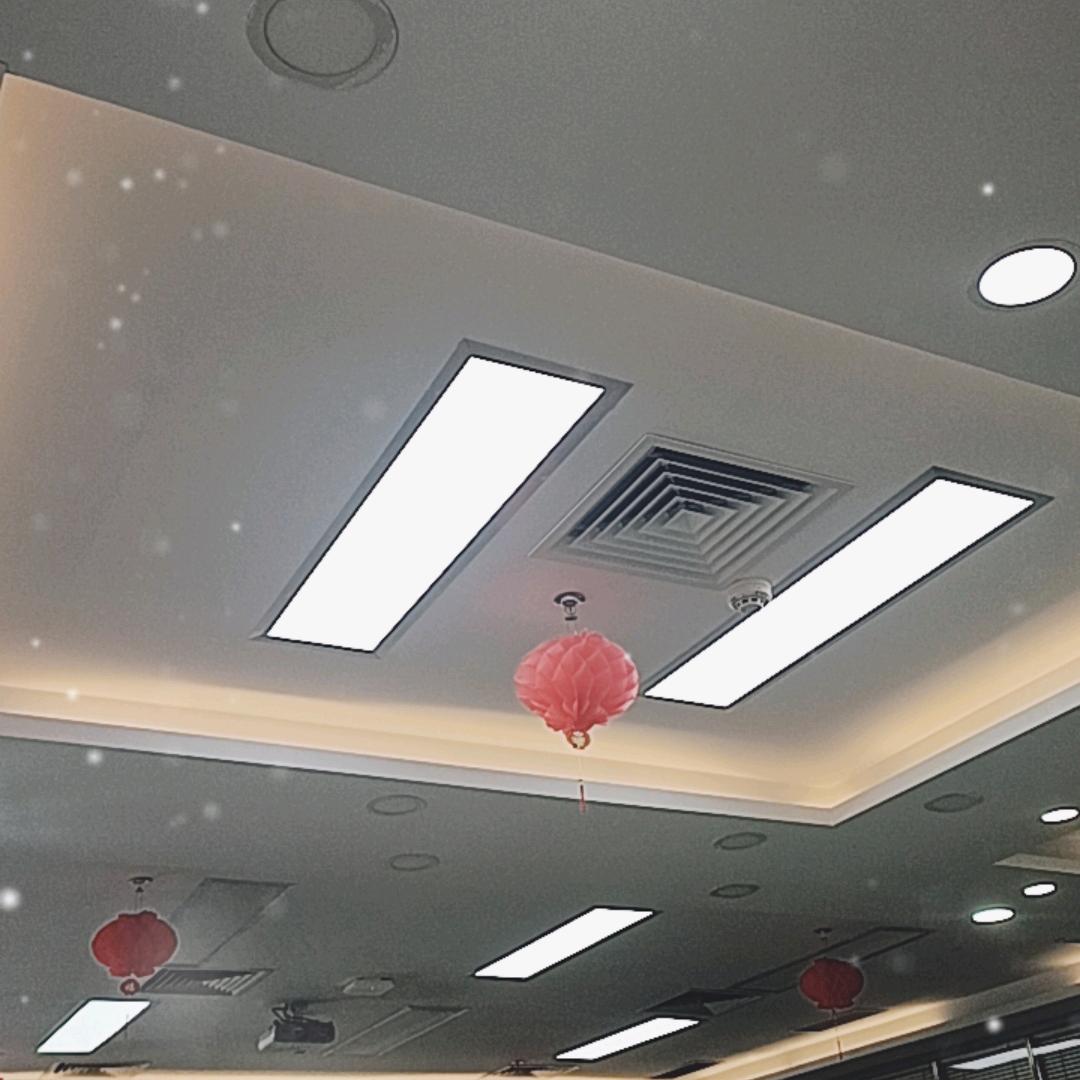 涵涵（停播学习中）