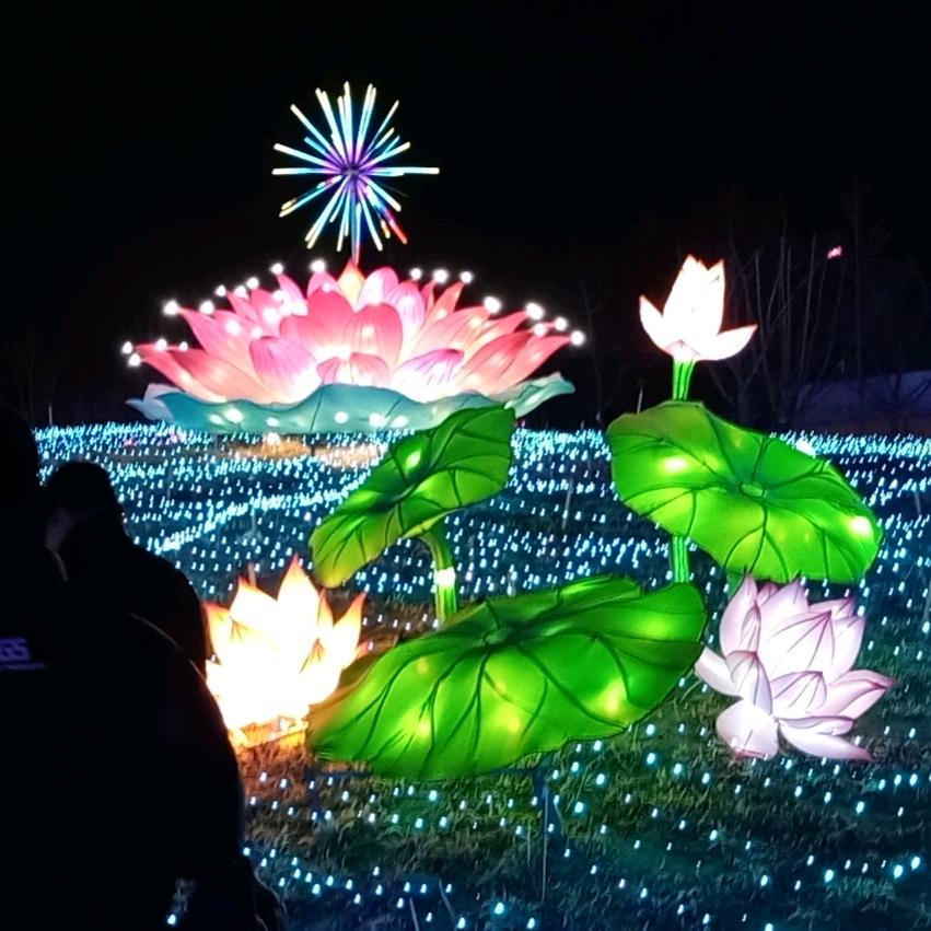 - ̗̀๑ᵔ⌔ᵔ๑随遇而安✧٩(ˊωˋ*