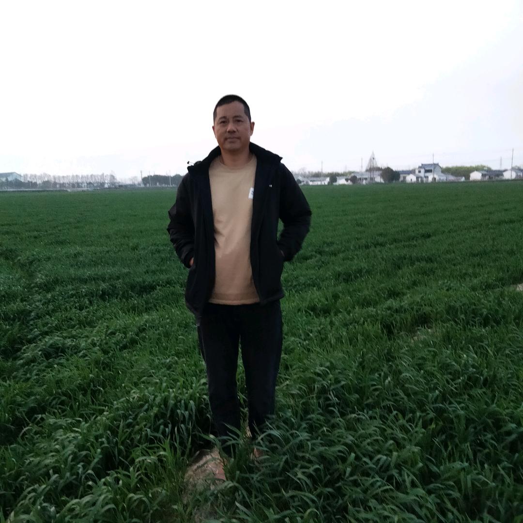 寻找知己
