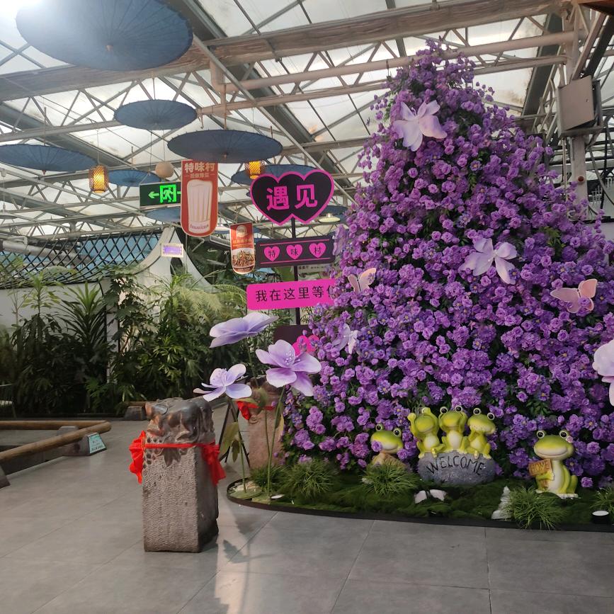 (🌴*，乐乐🌴`/๓