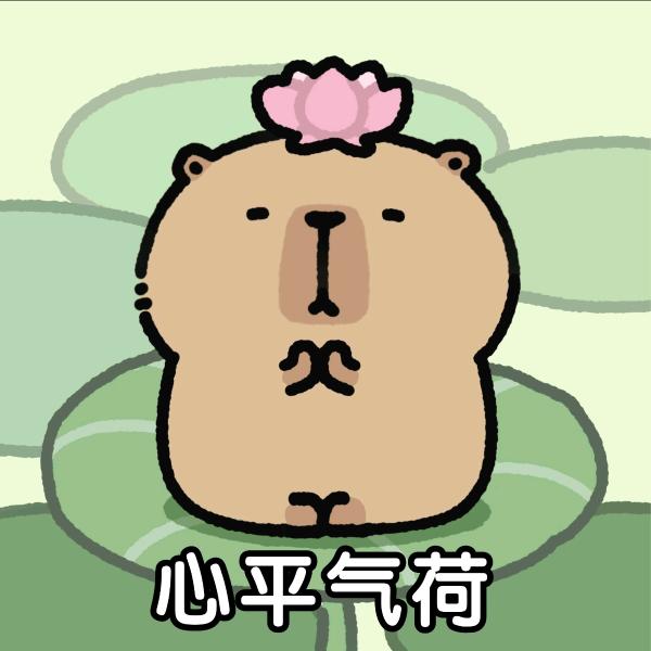 夜雨声烦，