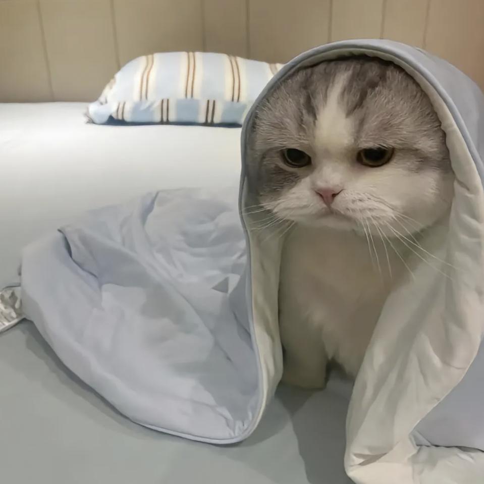 死去的少年