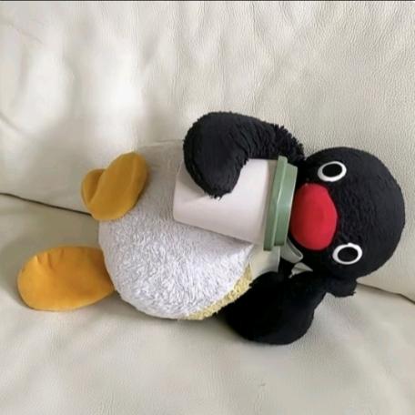 PinGu