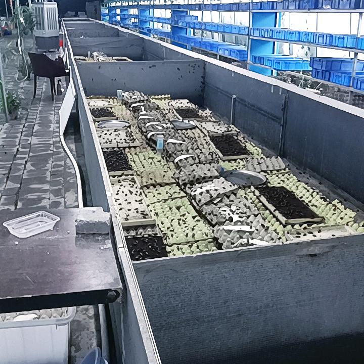 最美的遇见AAA