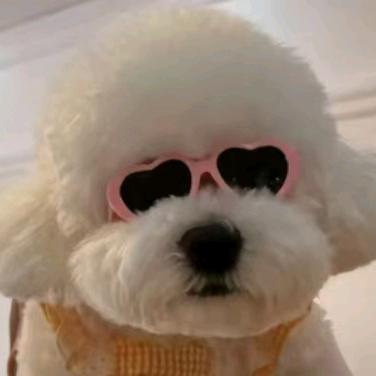 少吃零食多睡觉