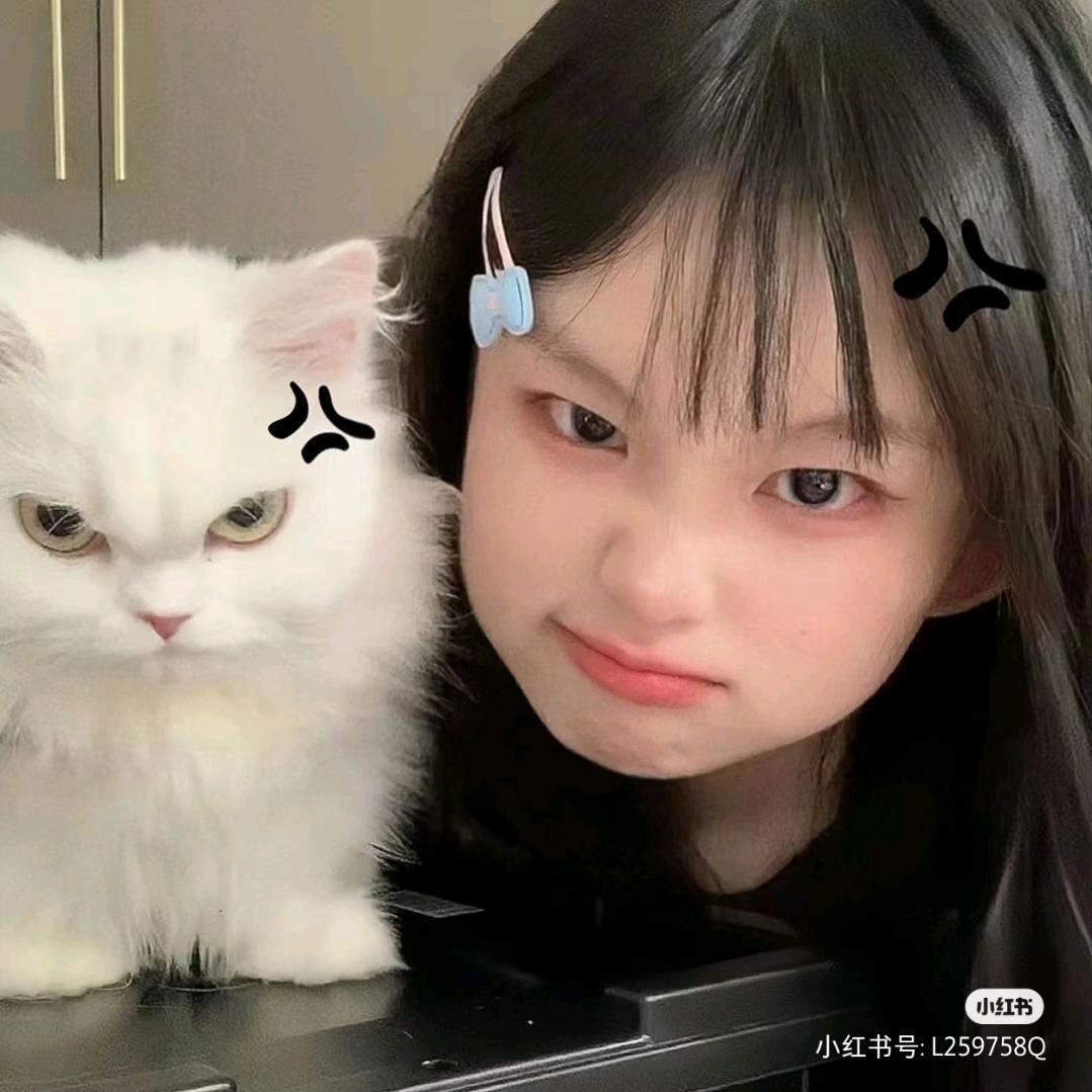 夕颜（小芒果🥭）