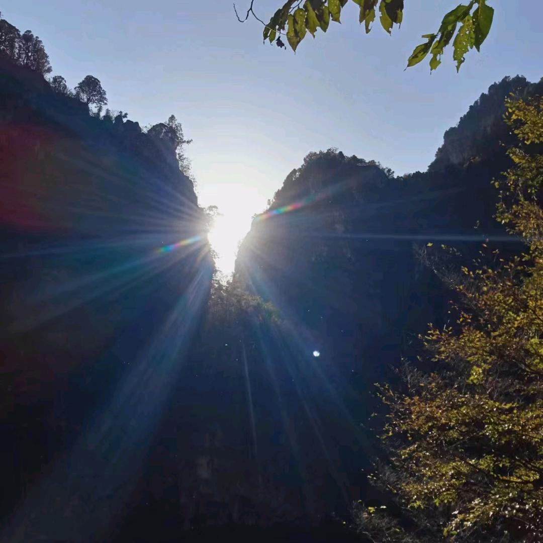 🌟高枕💐无忧💝