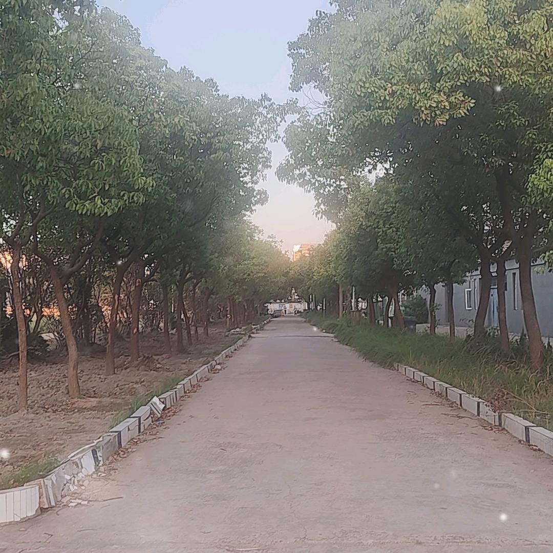 经典鱼王（🐠）