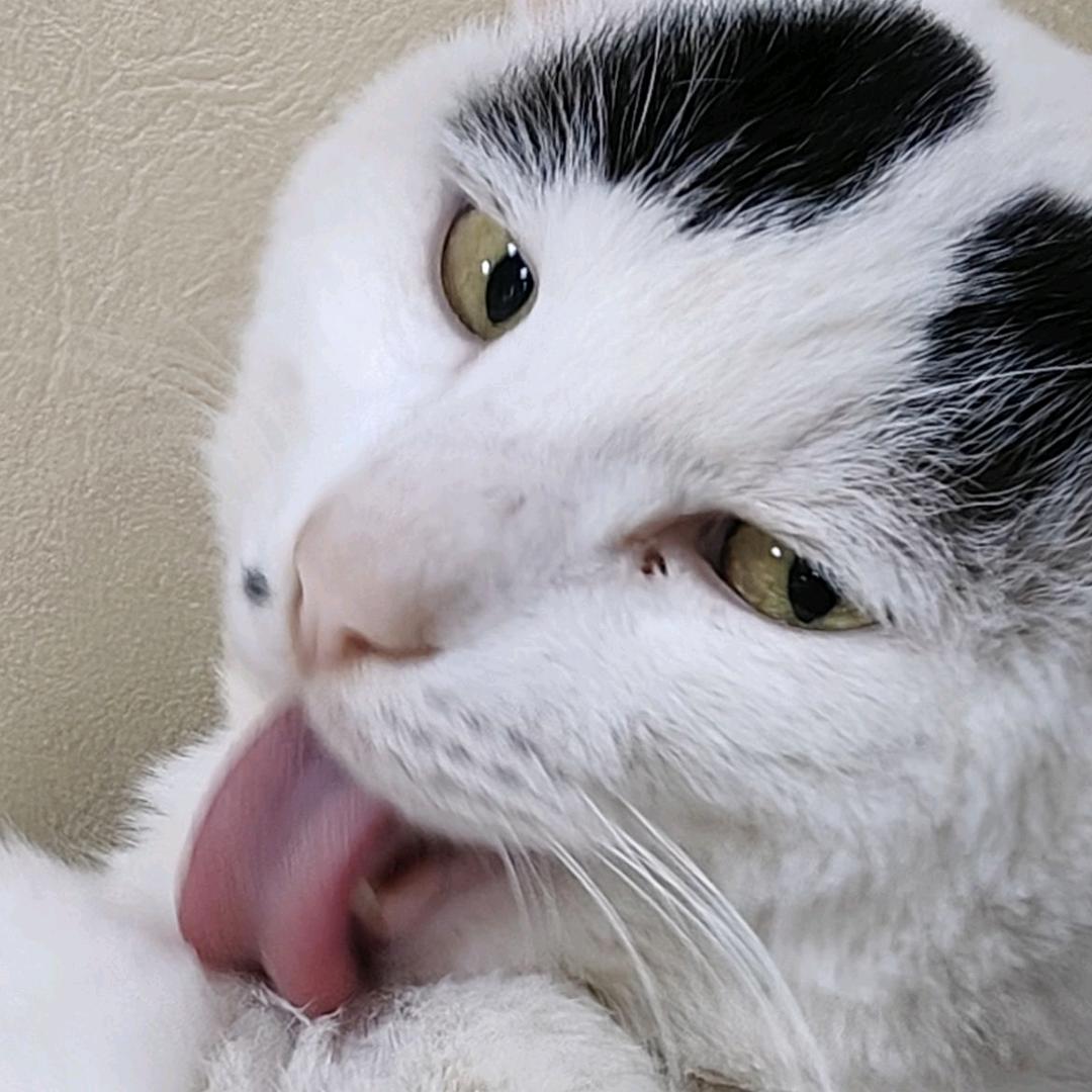 电饭锅
