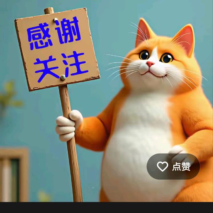 搞笑Ai猫视频