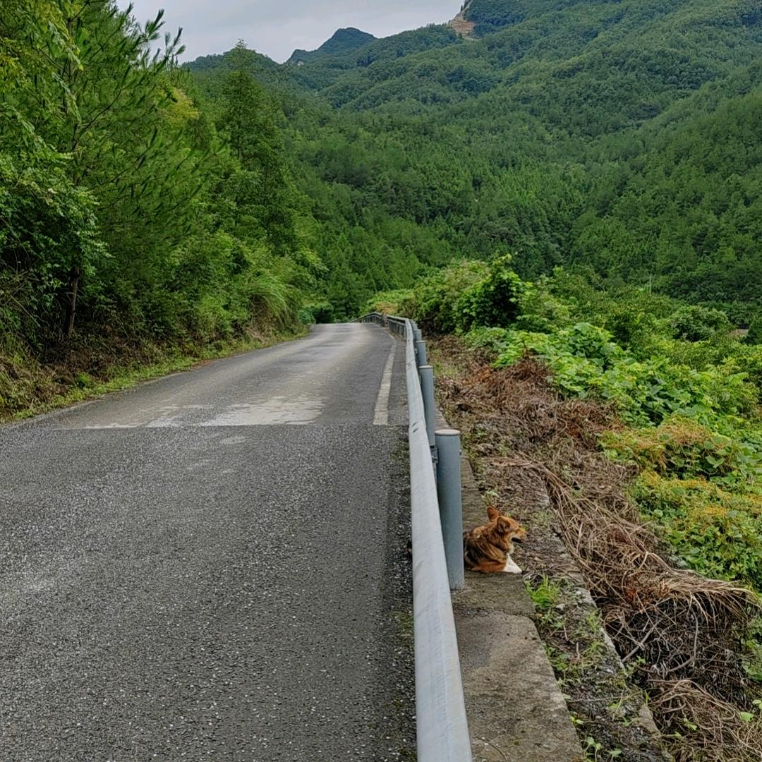 ζั͡ޓއؓ渡劫ཱིއއ
