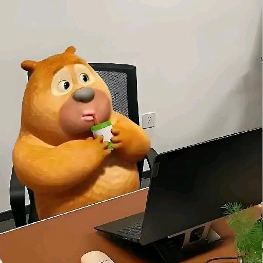 爱上网的熊二