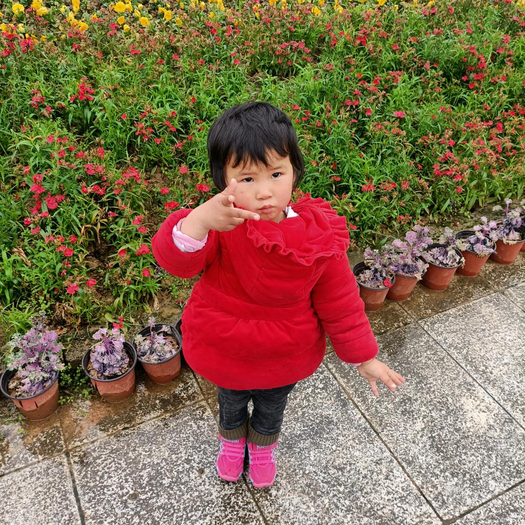 梅子好物分享。