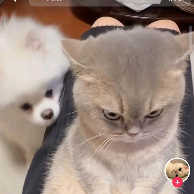 🐇(•̤̀ᵕ•̤́๑)ᵒᵏᵎᵎᵎᵎ