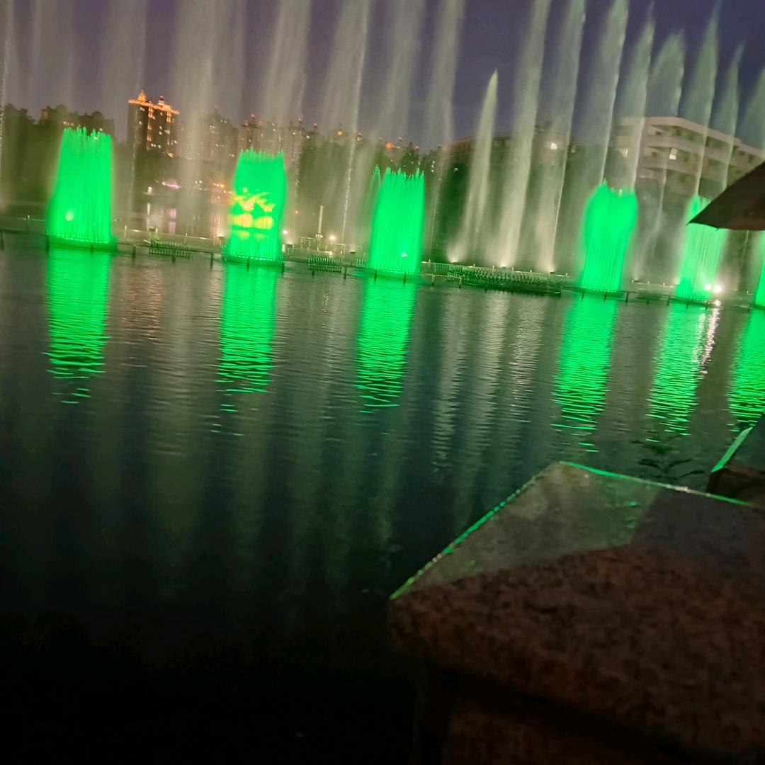 从此我碰花碰草不碰情