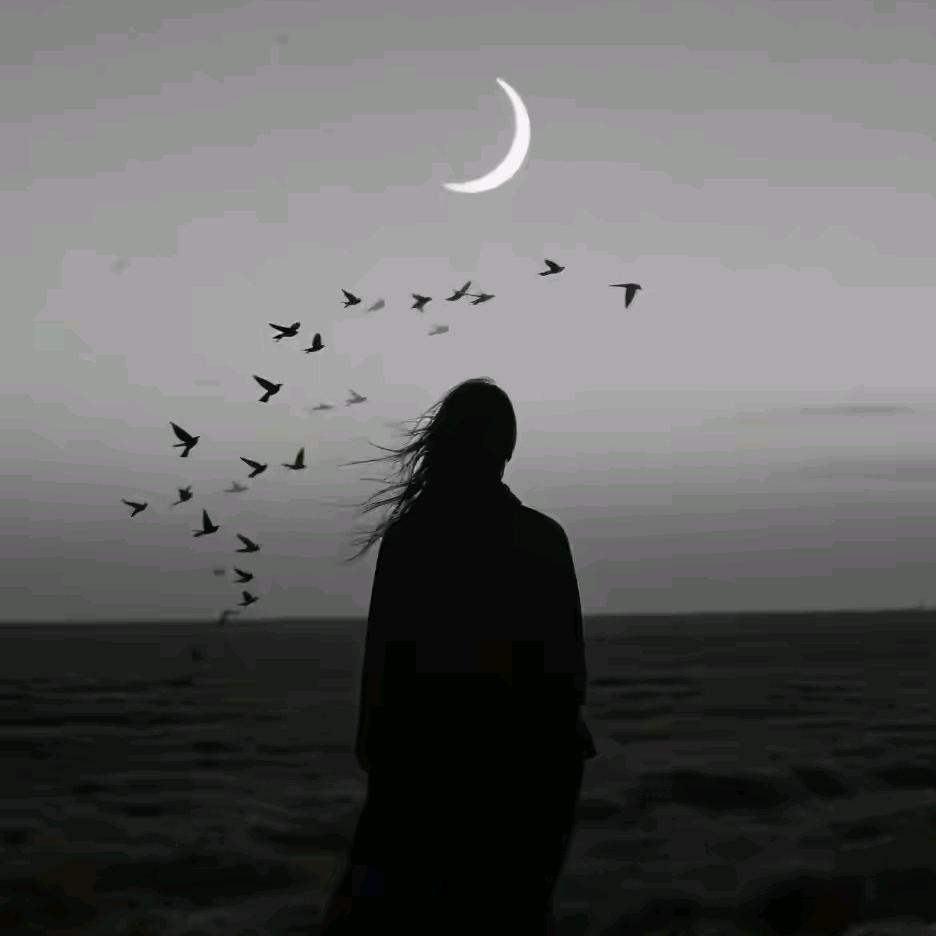 许君上上签🖊*