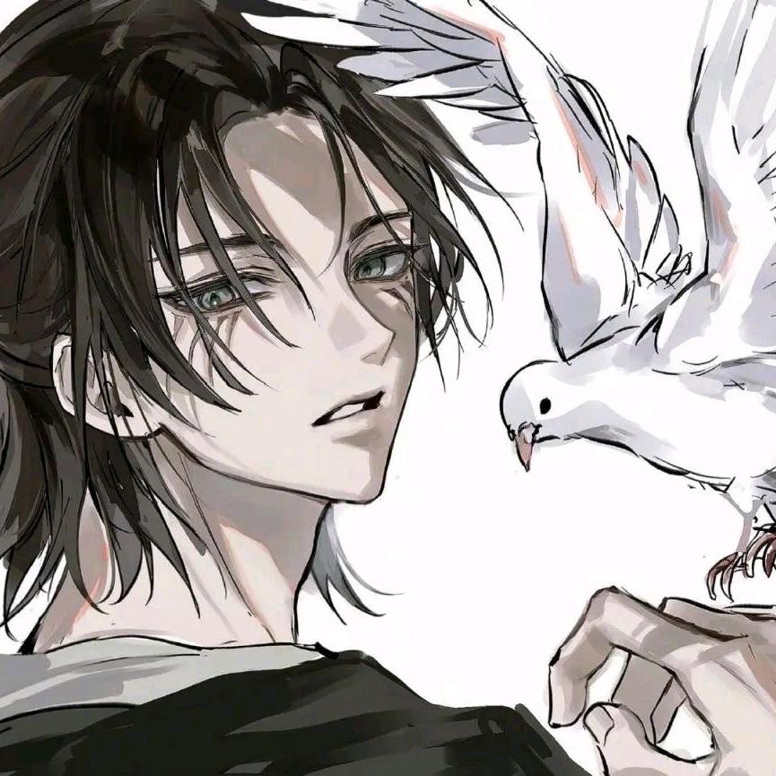 王者荣耀小白鸽（无敌小胖虎）