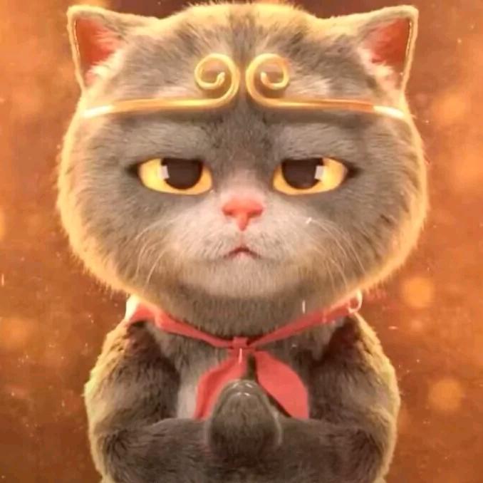 娃哈哈👀