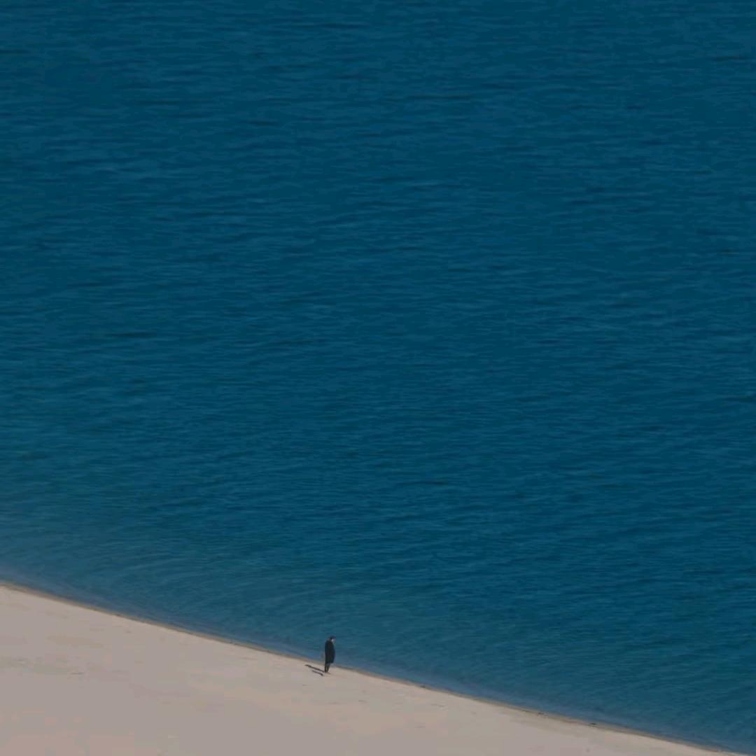 *海