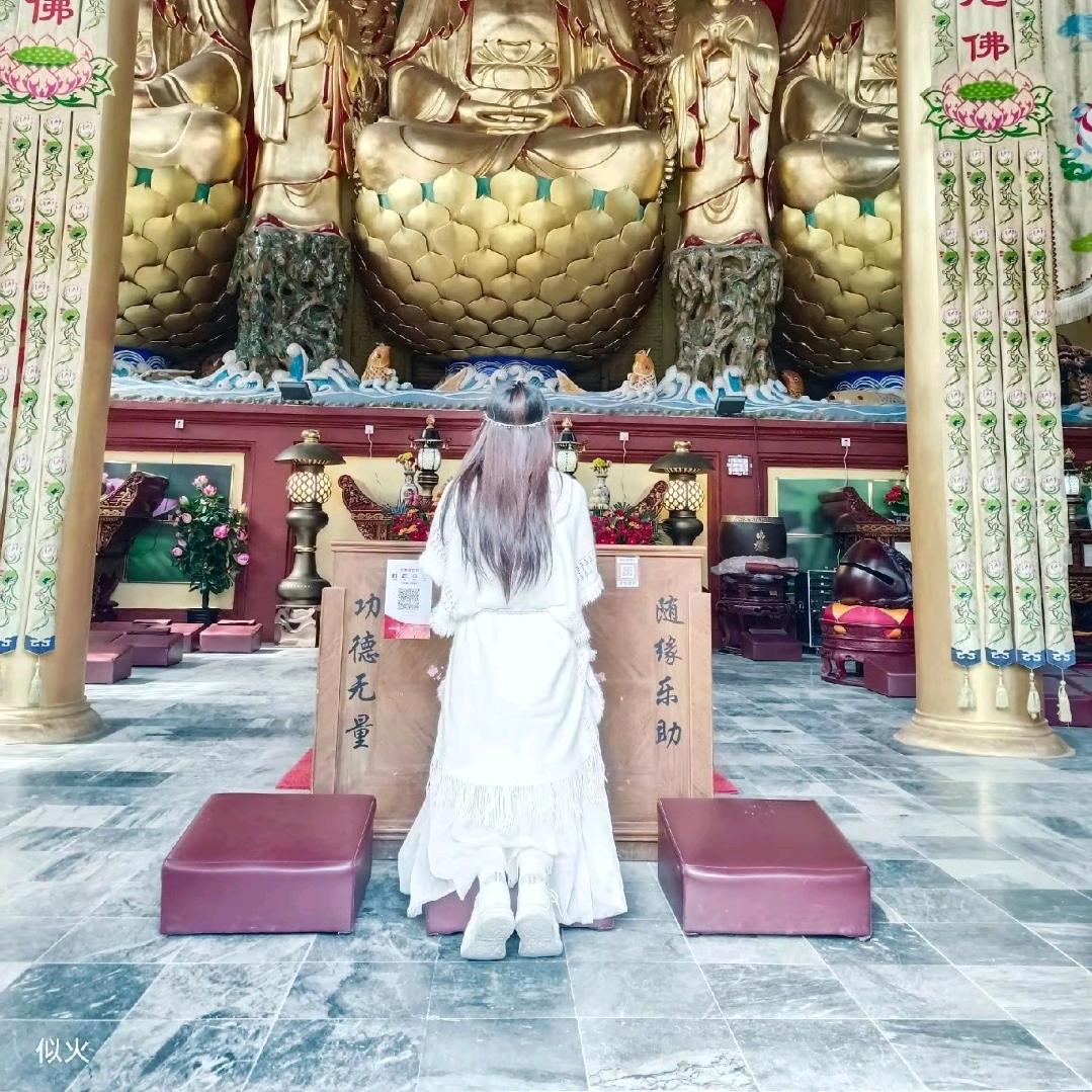 紫翎殇
