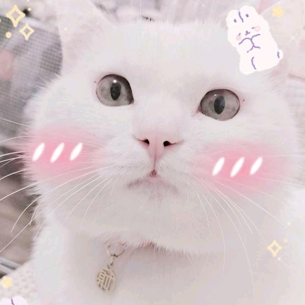 甜甜圈⭕