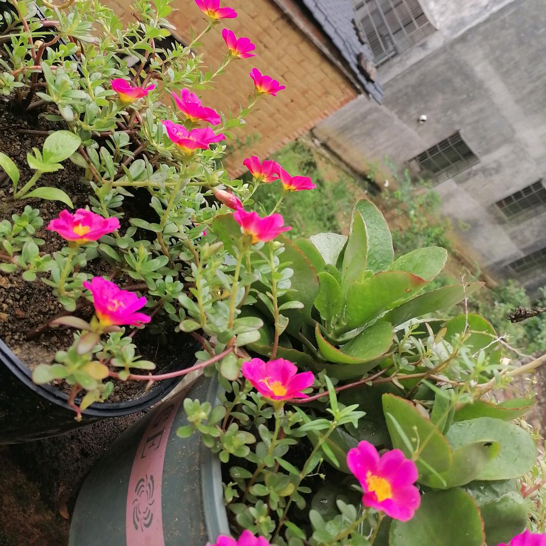 余꯭ღ💖💖生ꦿ᭄爱自己ღ᭄