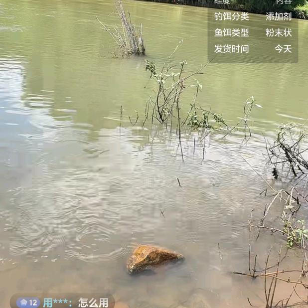 青鱼呱呱叫