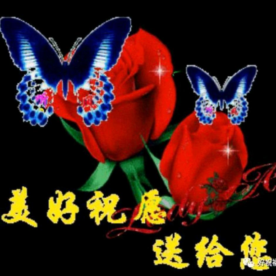 六三年后四月的兔