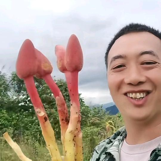 有优力装饰建材官方号