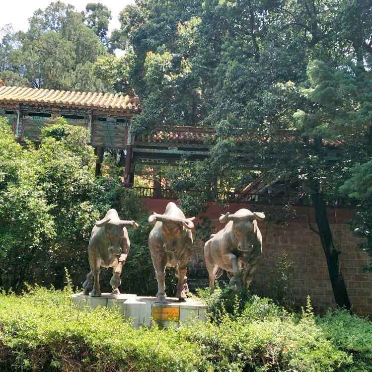 云南基建工程