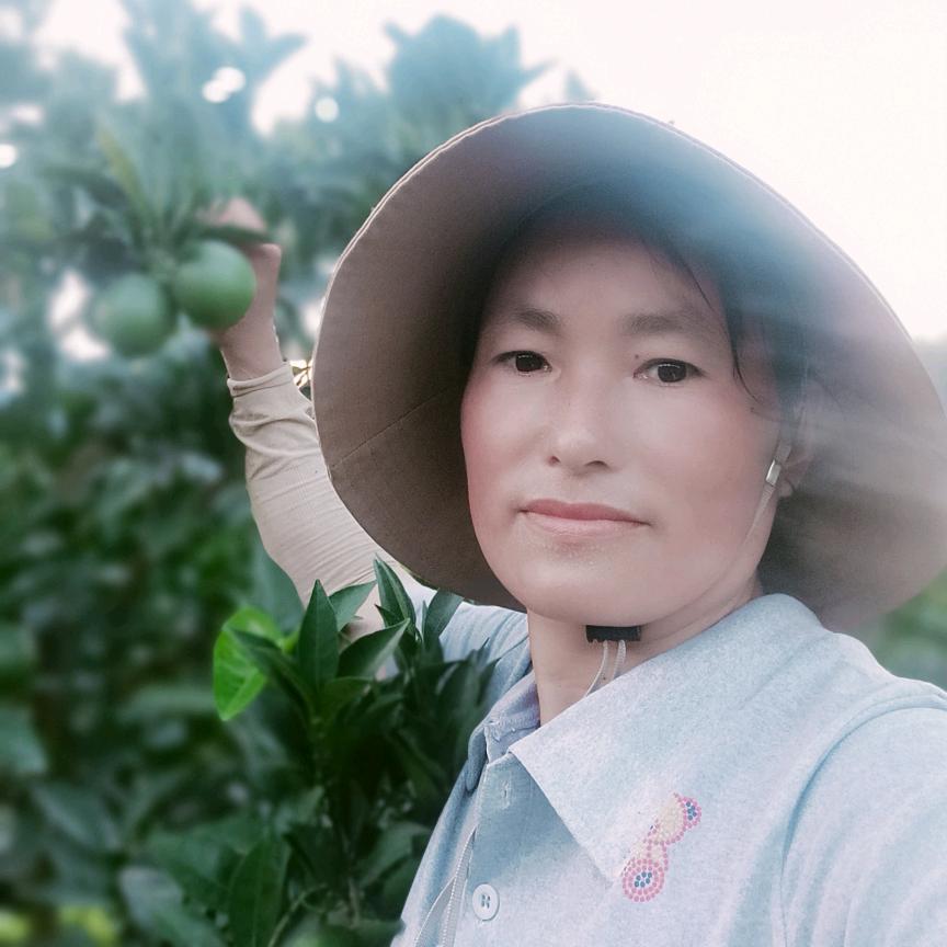 清清农产品甄选
