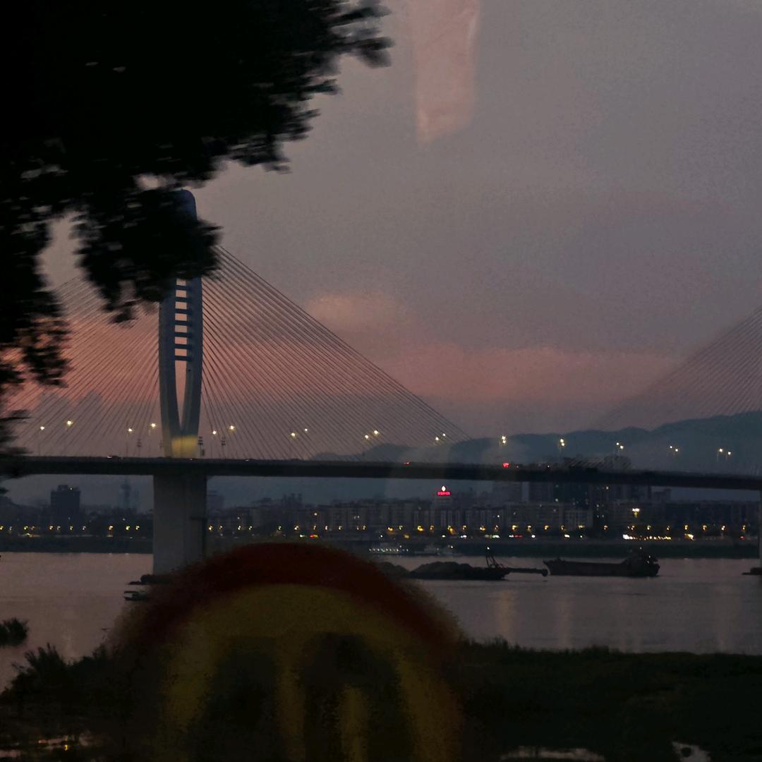地才交易员