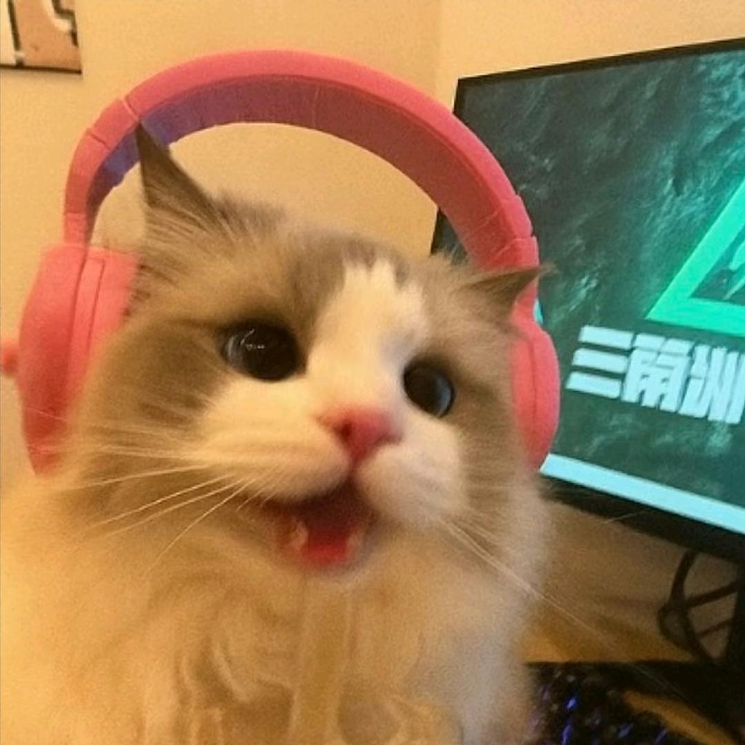 有猫🧊（三角洲）