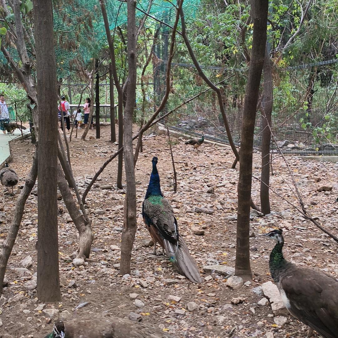 开心快乐，万事如意