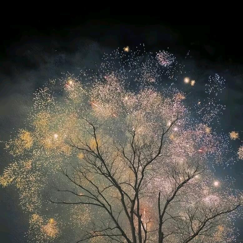 摸鱼的碎碎冰