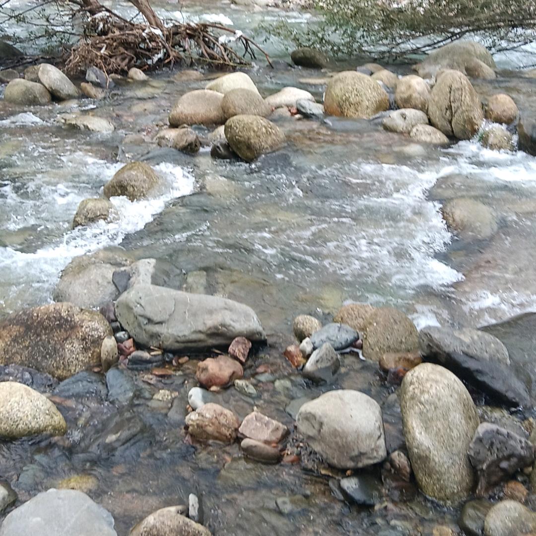 小小