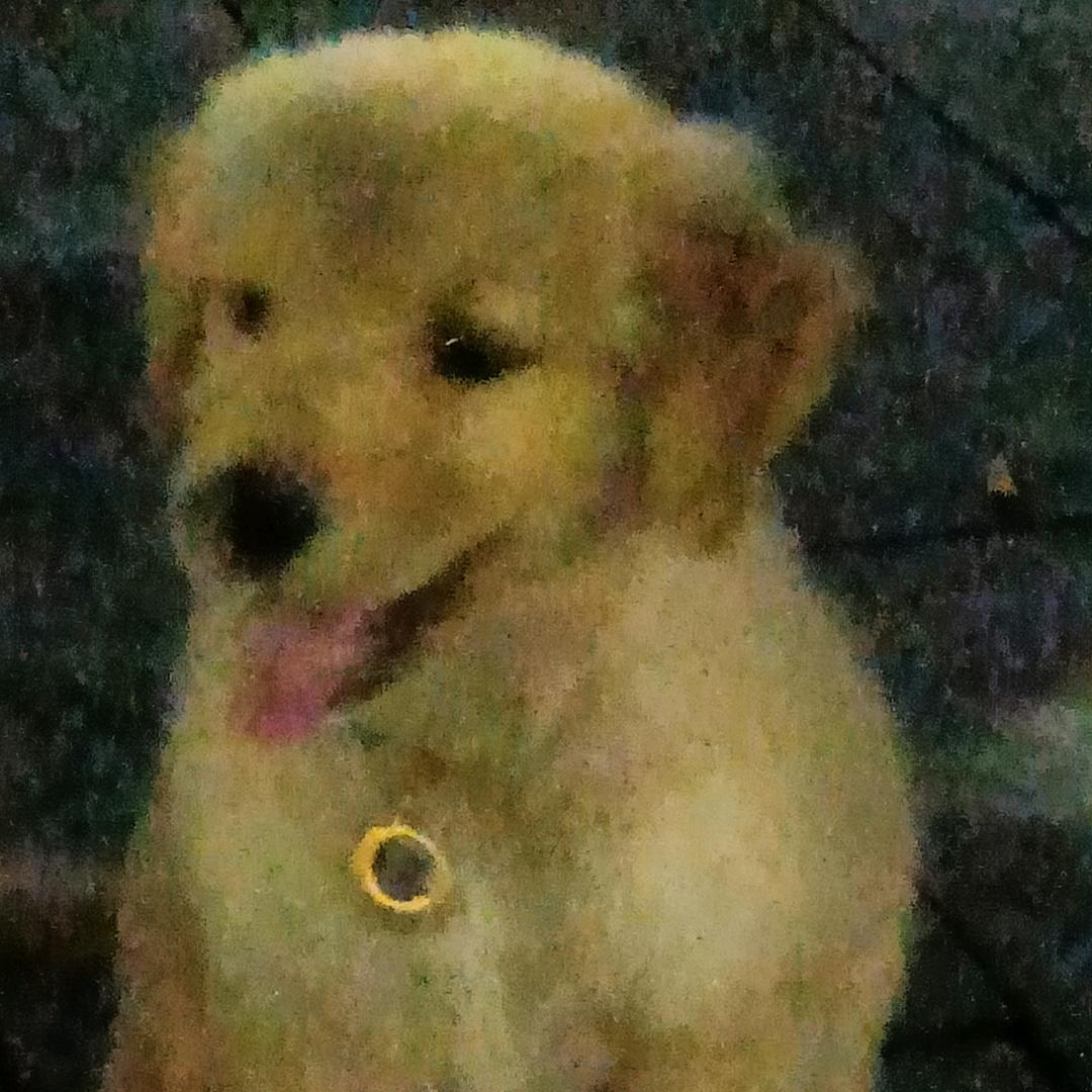 💃🏾🦜忘记🦄🦋岁月🌷🌹